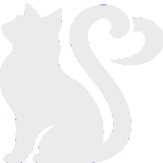 AmoreMiau